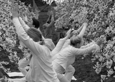 Yoga mit Kirschblüten 2016