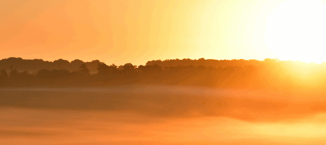 Energetic Workshop zur Sommersonnenwende